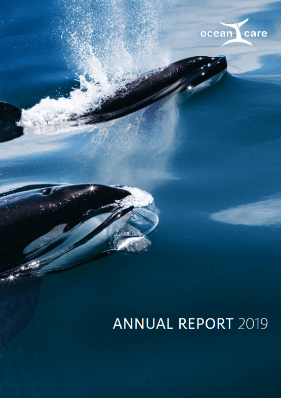 Ocean Custody Annual Report 2019