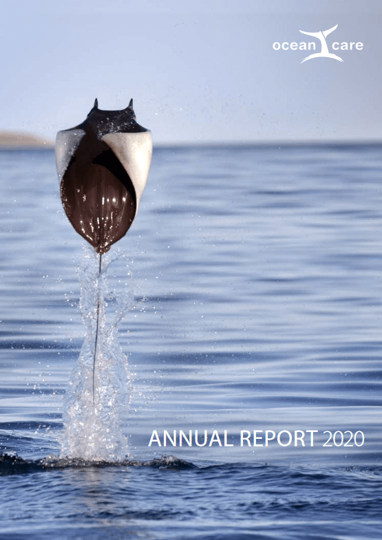 Annual Report Ocean Custody 2020