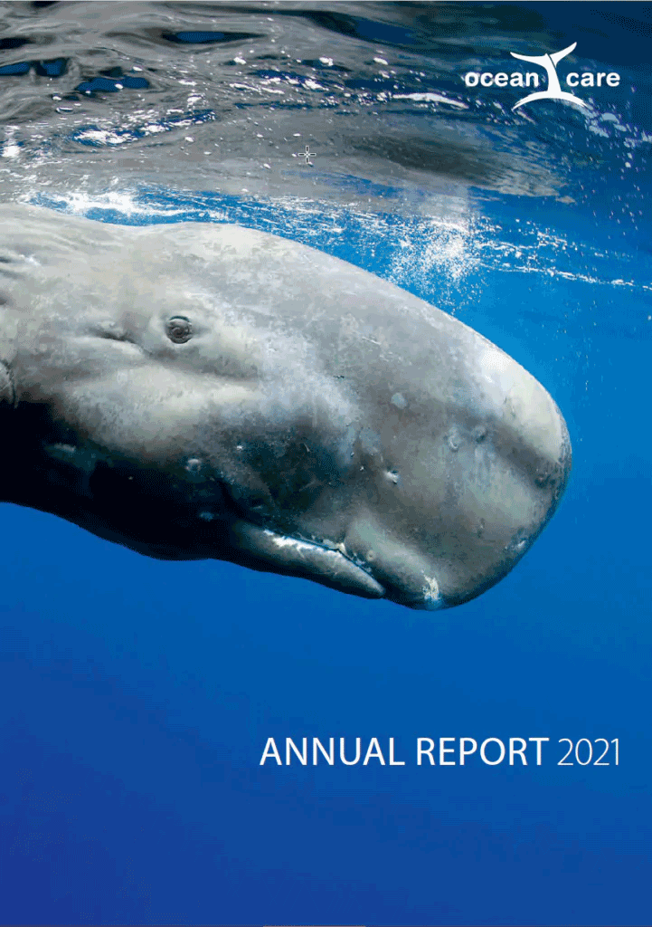 Ocean Custody Annual Report 2021 (Cover)