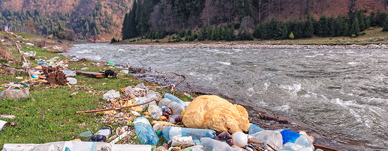 Abfall Natur, Plastik Petition Schweiz, Ocean Custody